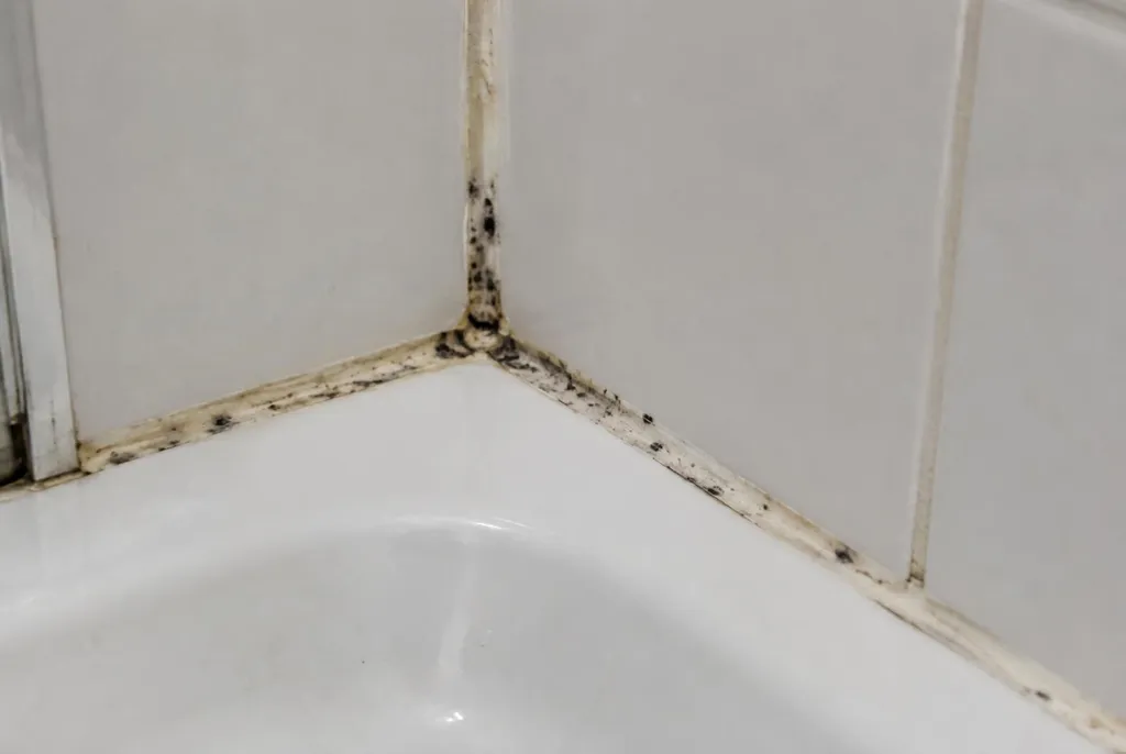 Kitbedrijf Bunnik – beschimmelde kitranden